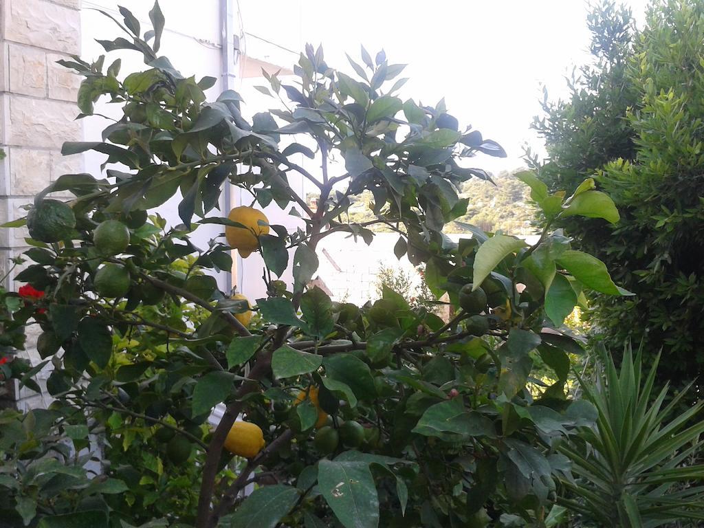 חוואר Apartments And Rooms Jasna מראה חיצוני תמונה