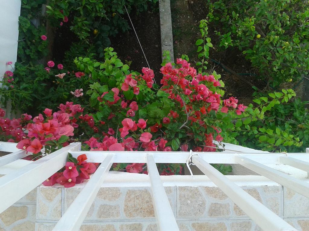 חוואר Apartments And Rooms Jasna מראה חיצוני תמונה